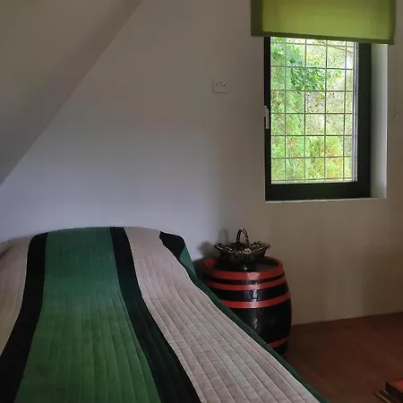 Paradise * 维索科