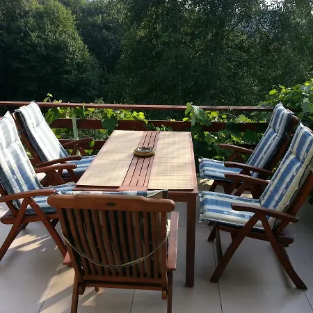 Paradise * 维索科